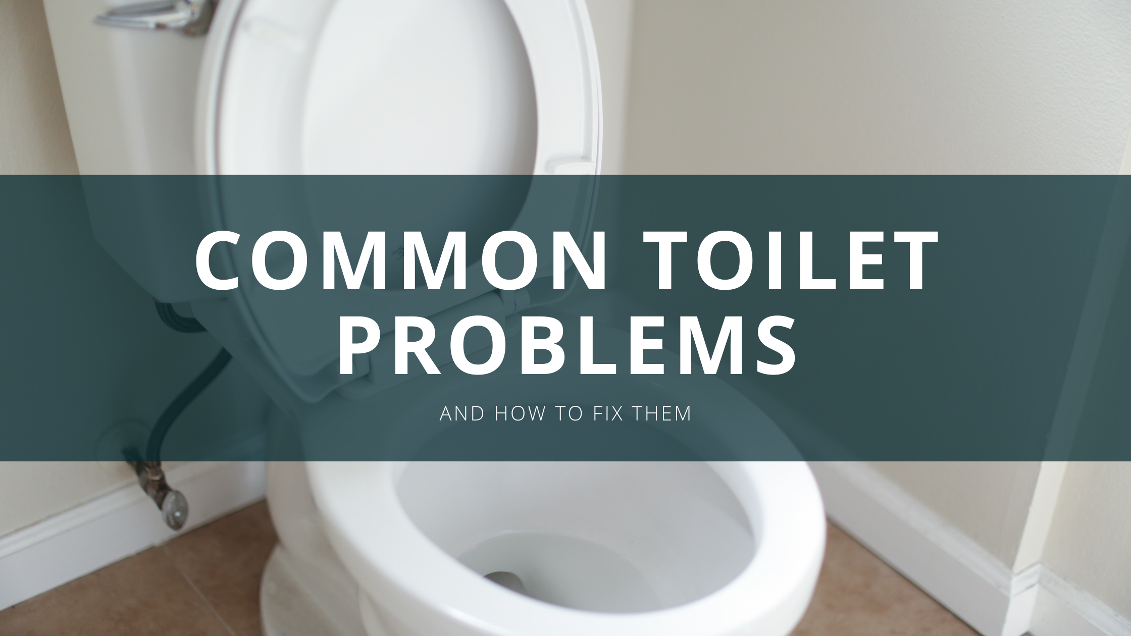 https://discountdumpsterco.com/wp-content/uploads/Common-toilet-problems-banner.png