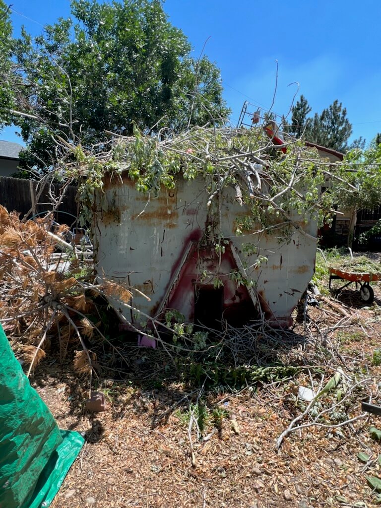 Photo of a dumpster rental in El Paso, TX, holding tree limbs