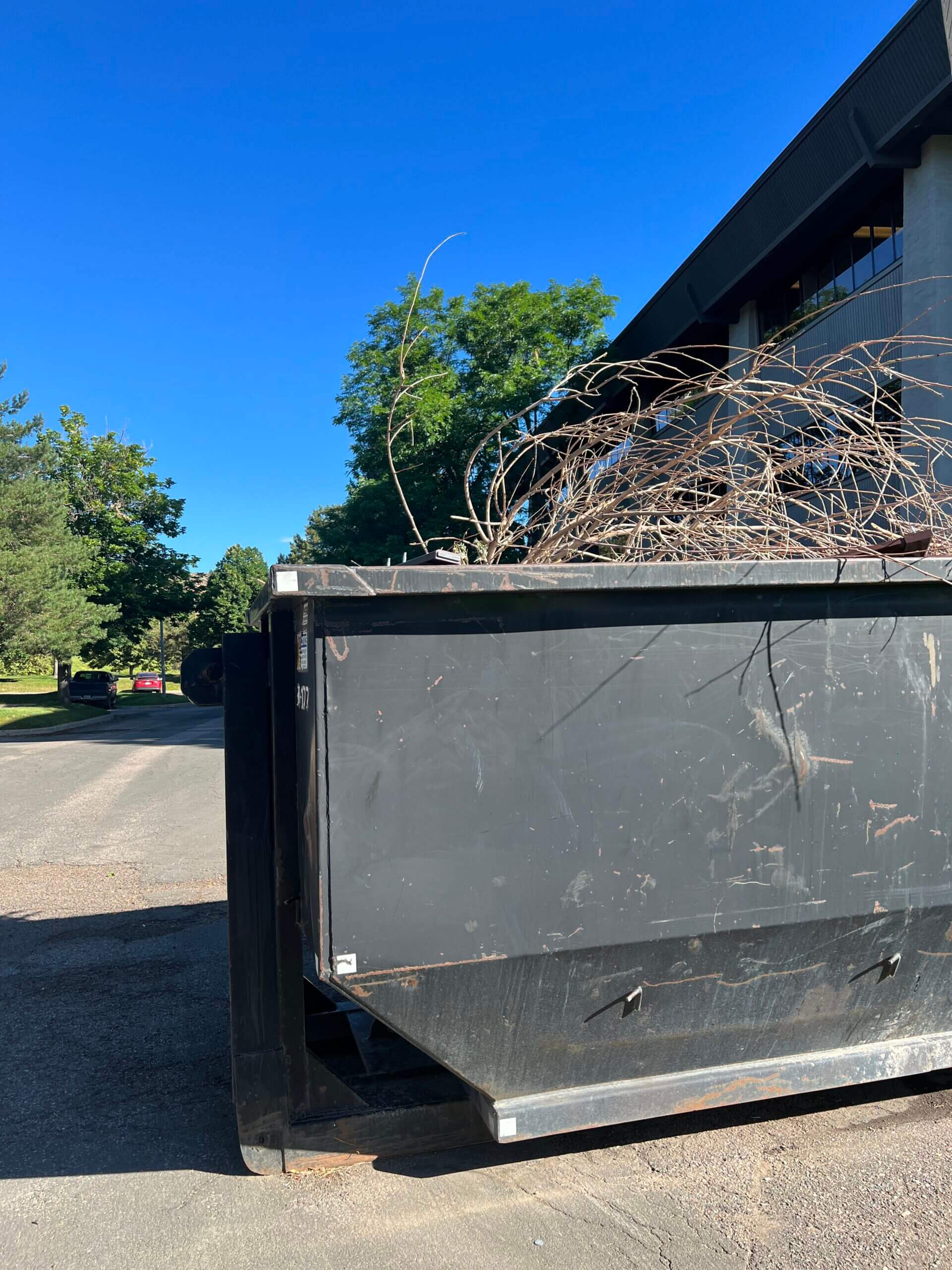Photo of a dumpster rental in Durham, NC, filled with shrubs