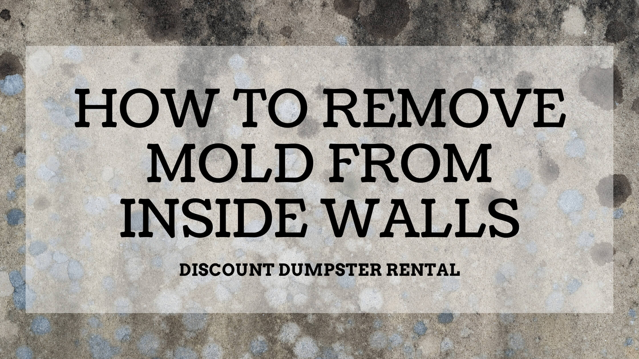 How to Remove Mold from Inside Walls