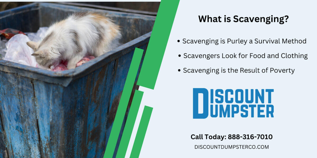 An infographic detailing what is scavenging as opposed to dumpster diving