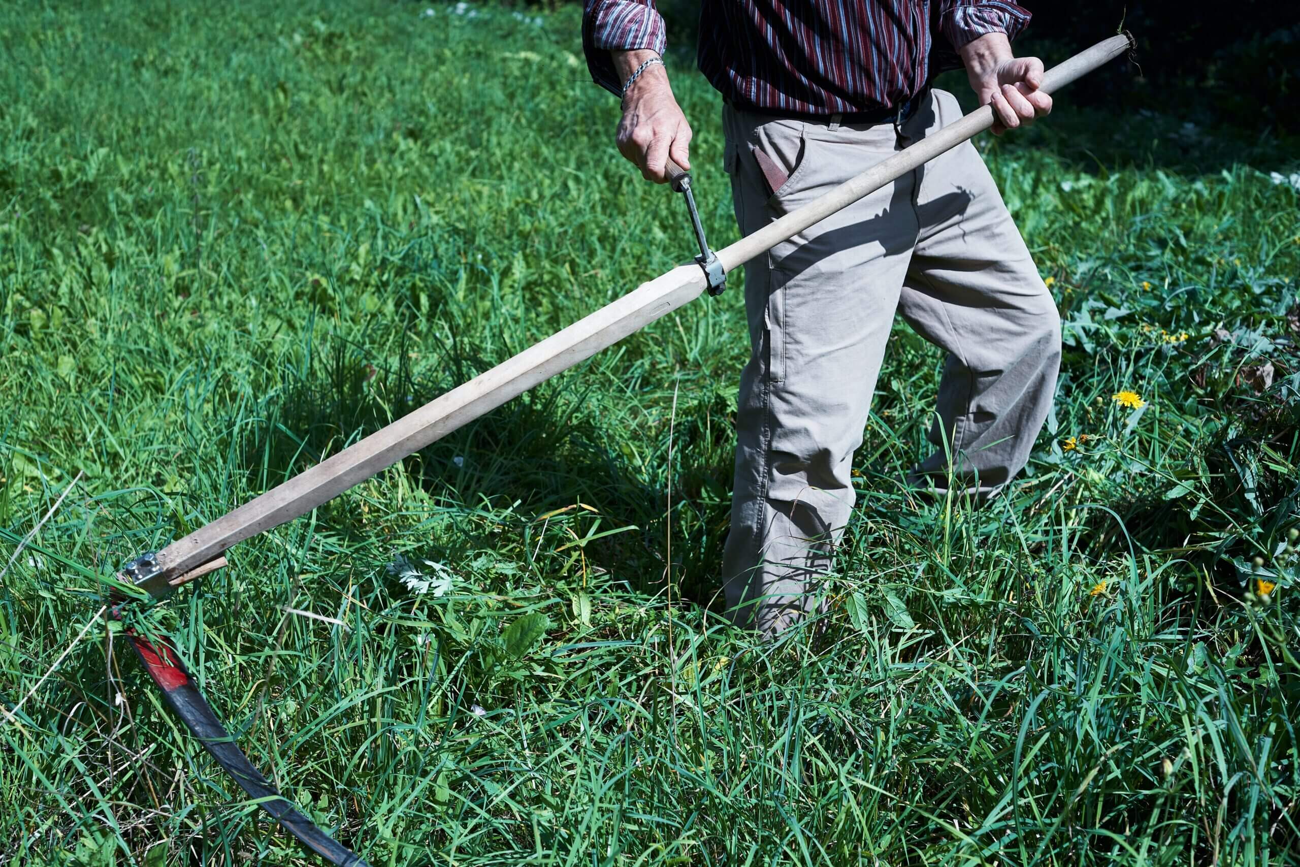 An image of grass being cut with a weedwhacker for yard waste disposal
